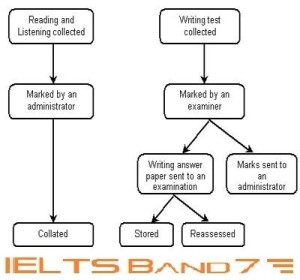 Ielts Process Chart