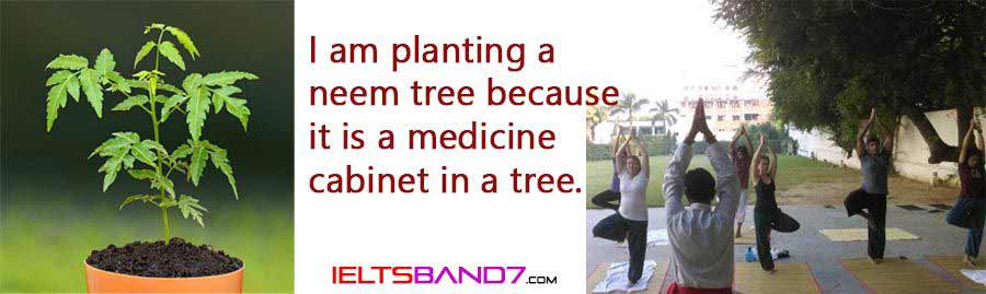 neem-tree Best IELTS Band 7 Coaching in dehradun