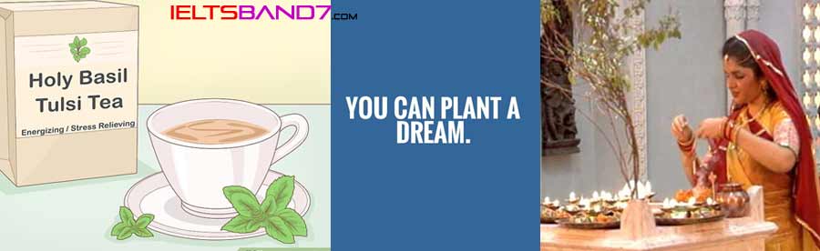 IELTS Speaking Task Cue Card: Describe an important plant in your country. Best IELTS Band 7 Coaching in dehradun