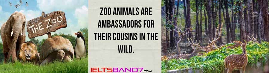 Essay # Some people think that zoos are cruel and all zoos should be closed