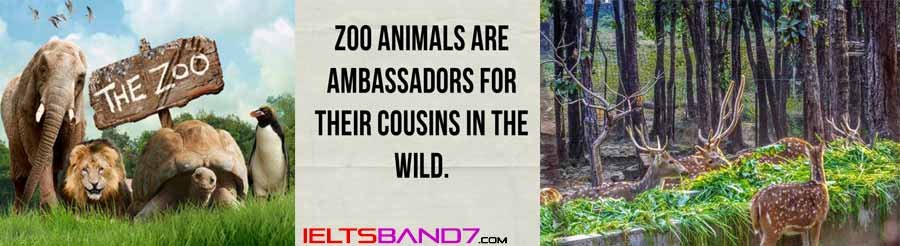 essay-some-people-think-that-zoos-are-cruel-and-all-zoos-should-be-closed